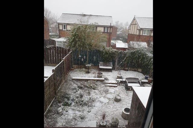 The back garden was covered in snow this morning.