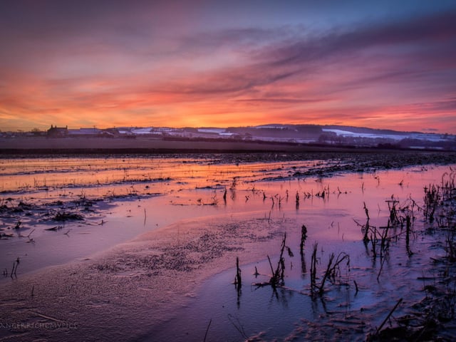 Sunset over a field in Newholm, near Whitby, by Richard Randle.