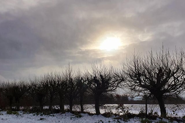 Winter wonderland at Wykeham, by Beverley Senturk.