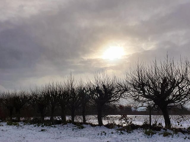 Winter wonderland at Wykeham, by Beverley Senturk.