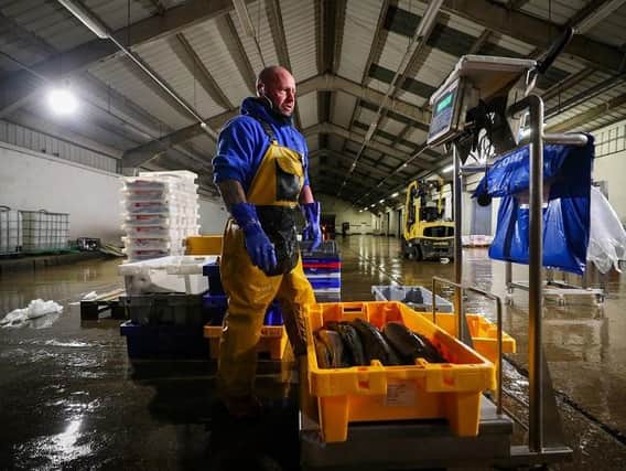 Market manager Alastair Ewen grades the morning's fish catch ahead of the daily auction in Fleetwood