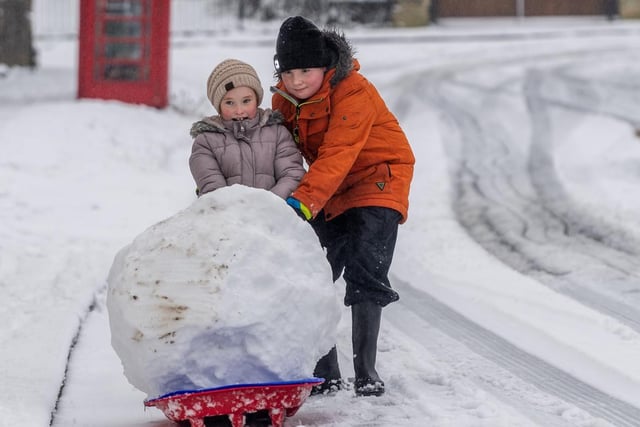 Freya Hardisty, 7, along with her brother Oliver, aged 11, try to pull a massive snow ball for their snowman on a couple of plastic sledges back home in the village of Stutton near Tadcaster, North Yorkshire.