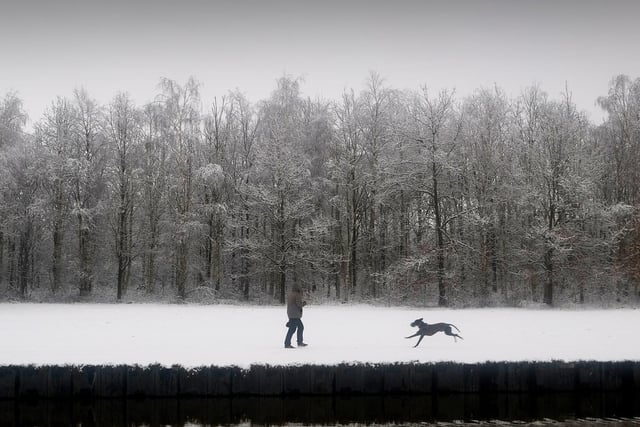 A walker plays with his dog in Woodlesford in the snow.