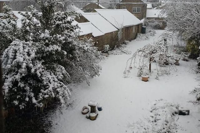 Reader Paul-David Bell shared this snap of his garden in Ripley.