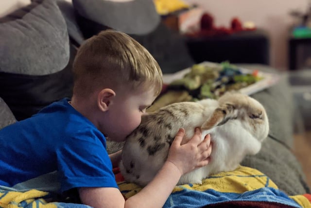 Angie's little boy took a moment out of his day to spend some time with his best friend.