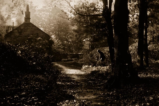 An albumen print of a man tending his cottage garden in an idyllic wooded glade. Original Artwork: From a series 'Views Around Whitby And Eskdale, North Yorkshire'.