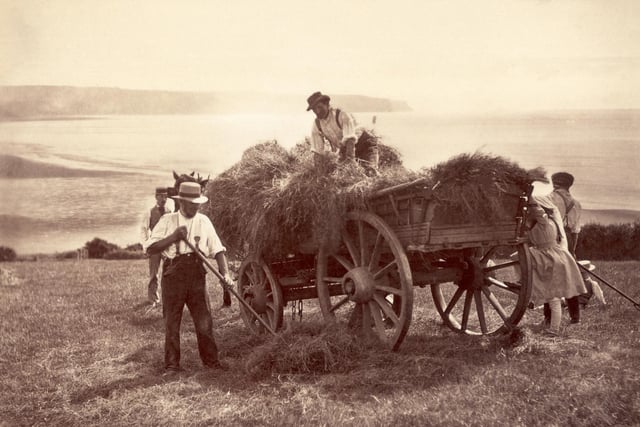 circa 1880: Farm hands pitch hay into a cart on a farm near Whitby.