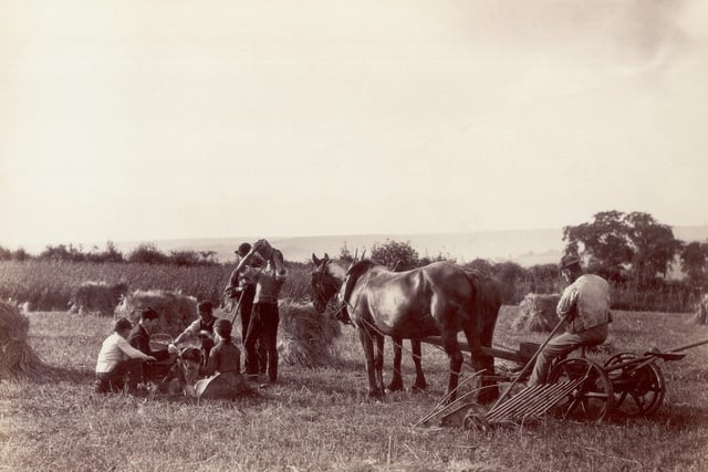 circa 1880: Farm hands take a break from harvesting to have a picnic lunch.