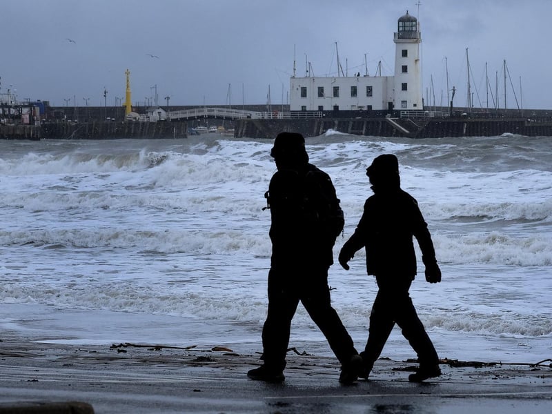 A winter walk on Foreshore Road