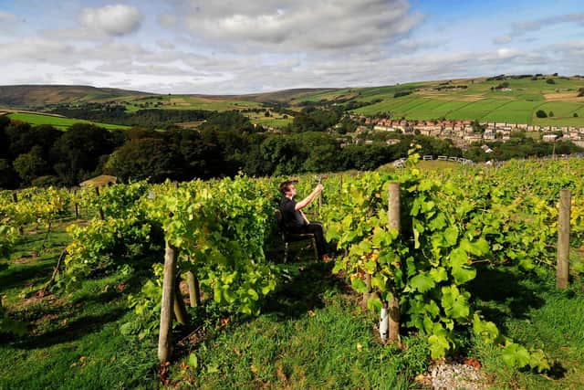 Set in seven acres of land, and with incredible panoramic views of West Yorkshire, Holmfirth Vineyard provides a delightfully picturesque setting. The wine should be good, too.