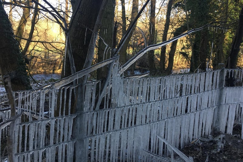 Stunning icicles along the roadside at Hartwith by Jane Fulford.