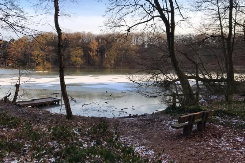 Louise Fairclough spotted the last few signs of winter during a walk around Newmillerdam.