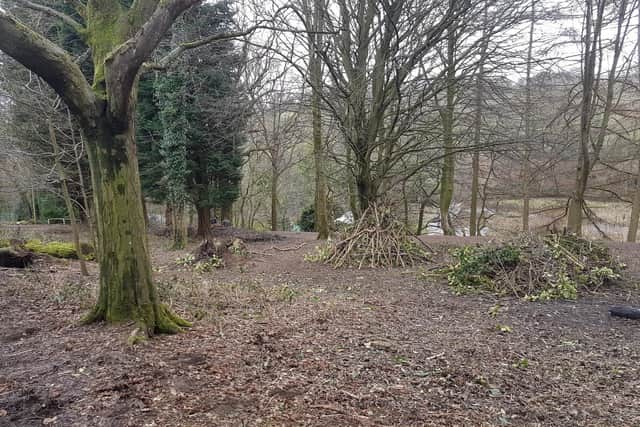 Festival Wood at Forge Dam has been cleared (photo: David Wood)