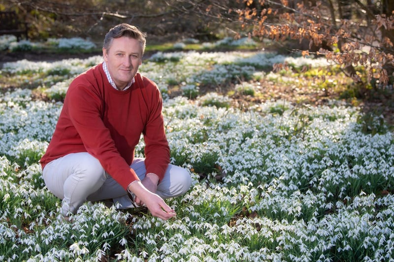 Lytham Hall general manger Peter Anthony with some of the snowdrops