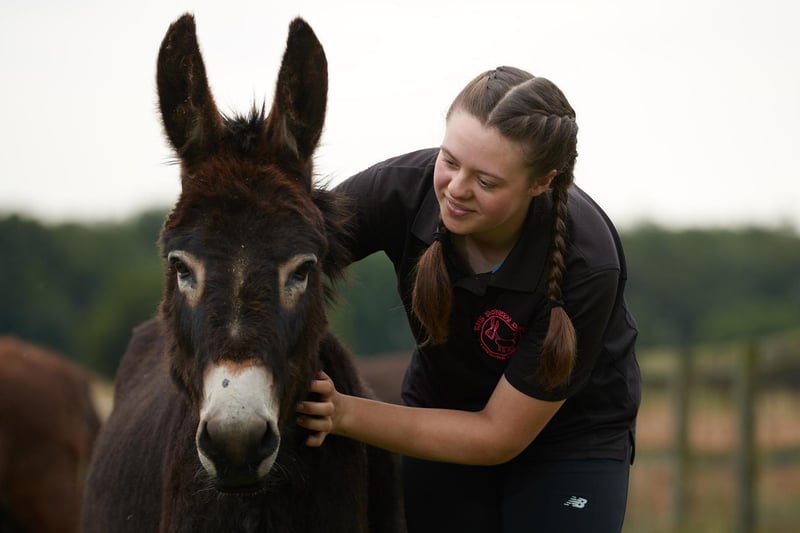Jenny Howarth opened the Wonkey Donkey Visitor Centre in Knottingley after her donkey Buttons helped her recover from a rare illness as a child. In 2017, Jenny suffered severe psychological trauma after being present at the Manchester Arena Bombing. She credits her donkeys with helping her to process the experience, and hopes she will be able to offer her donkeys as much solace as they have given her through the years.