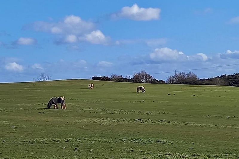 Joanne Melling said: "Heath Common, Wakefield. So wonderful to see some blue sky."