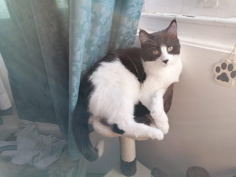 Rosemary Bailey sent in this photo of Lemmy.
