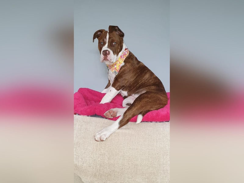 Jo King sent in this photo of 5 month old Grace.