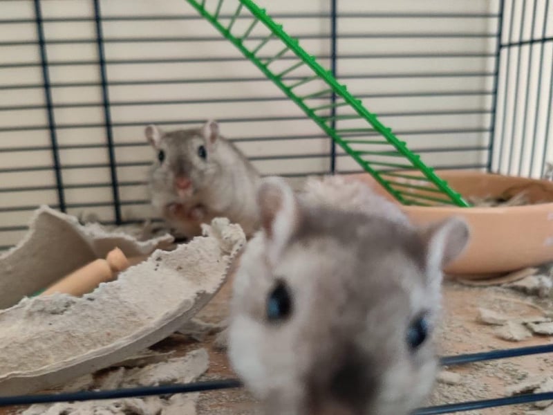 This is Brianna and Lucy, sent in by Charlotte Guy.