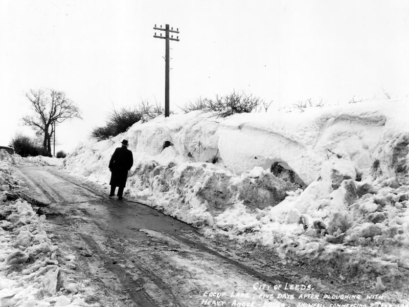 High banked snow on Eccup Lane, five days after ploughing.
