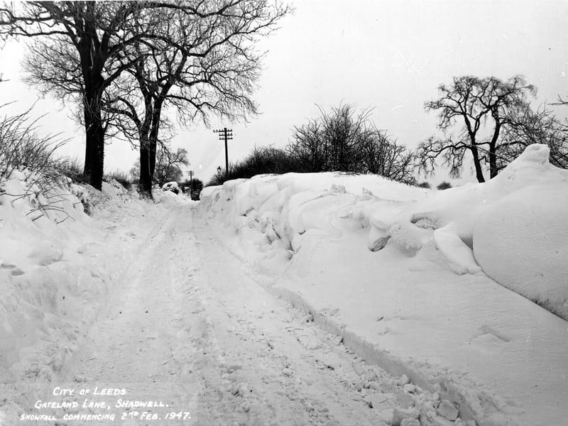 The aftermath of heavy snowfall on Gatelands Lane in Shadwell.
