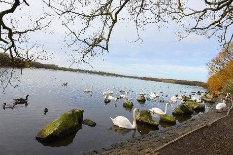 Pennington Flash - see how the borough’s industrial past has been turned into a setting for wildlife.