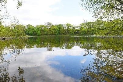 Worthington Lakes, Standish - a picturesque setting and great bird-watching opportunities.
