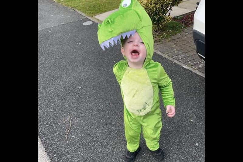 Two-year-old Archie dressed as Rex the Dinosaur from Toy Story. Picture by Natalie Lucy Dean - Wenlock.