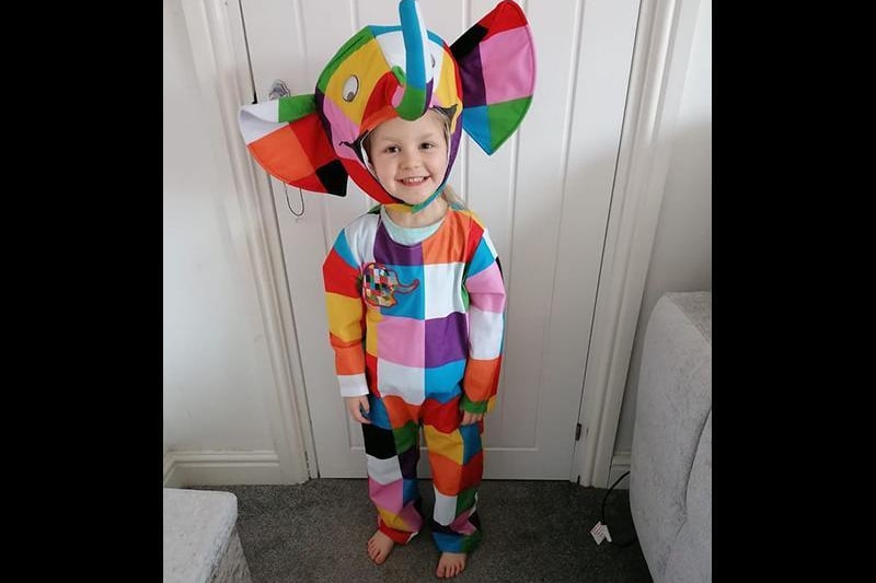 Daisy, age 4 as Elmer. Picture bySammie Cooper.