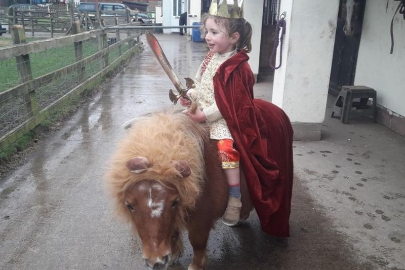 Amy Jo Lawrance shared her photo of Flynn as King Peter from the Narnia Chronicles and his Shetland pony Precious as Aslan.