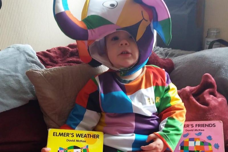 Here is Theo dressed as Elmer (sent by Trina Holland)