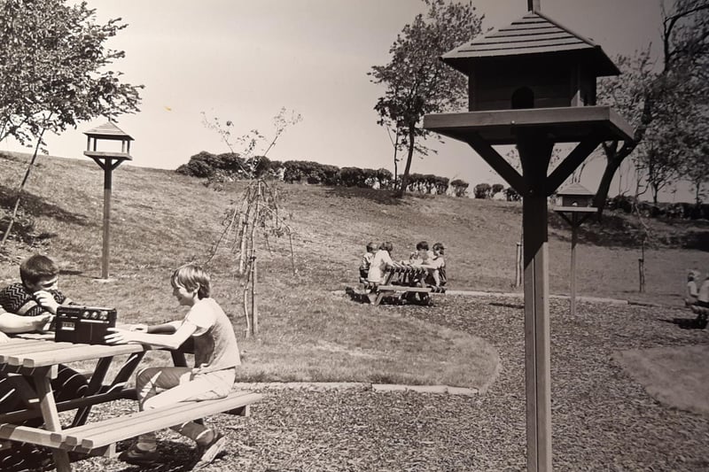 Families enjoying the new picnic area in the Mount grounds in June 1985