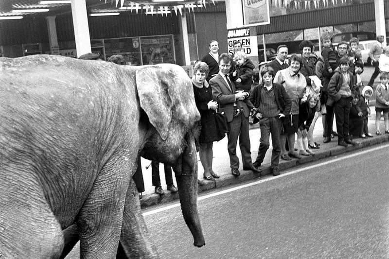 Families line the pavements of Wigan's Wallgate to see the circus come to town in 1971