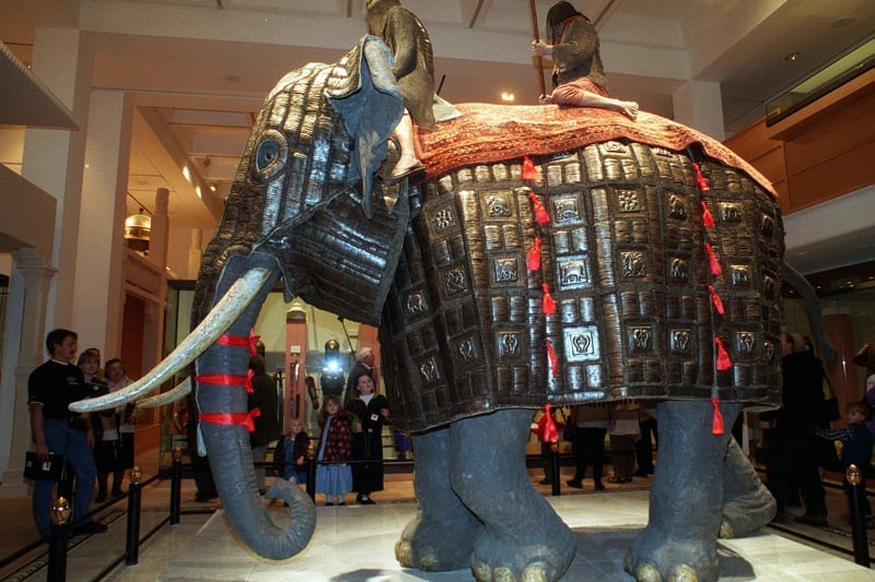 Yorkshire Evening Post readers admire the Museum's giant armoured elephant.