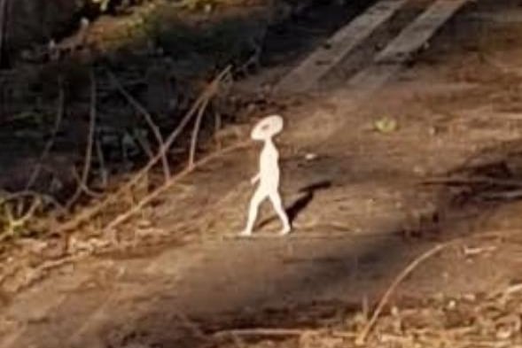 Let's start with this latest sighting.Mellisa Braham, from St Helens, snapped this picture earlier this week while she was out walking her dog.Later that day whilst she was looking through the pictures she spotted what lookedlike a tiny humanoid-shaped figure walking from right to left. You can read more about this here:http://bit.ly/3qDKt9i