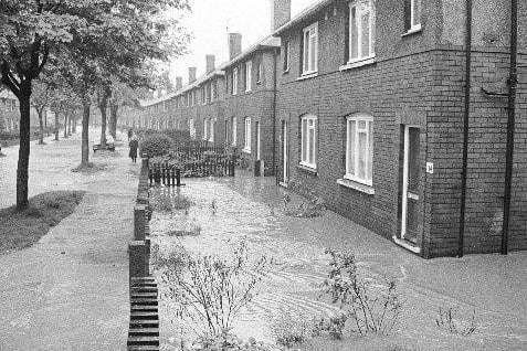 A row of flooded gardens