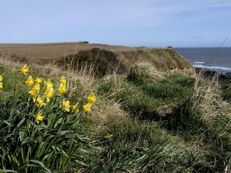 Part of the Cleveland Way route.