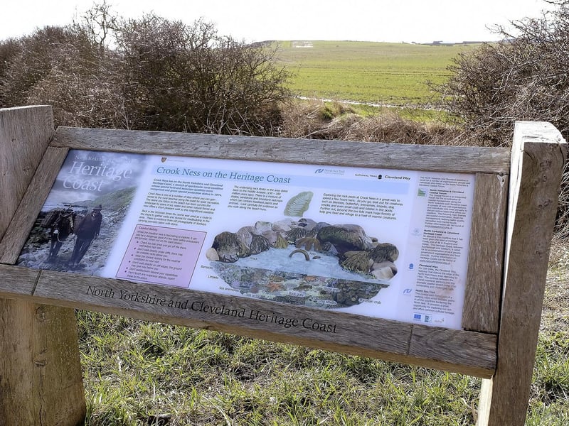On the way to Crook Ness...