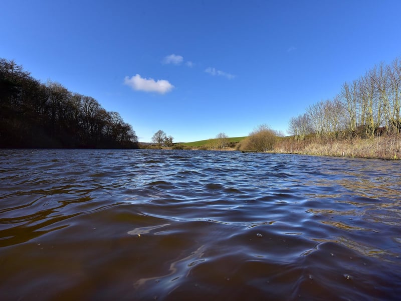 Lady Edith's woodland and lake.