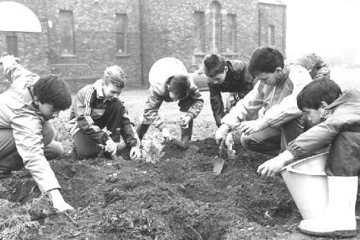 Children planting bulbs at the side of Ackworth Roman Catholic church