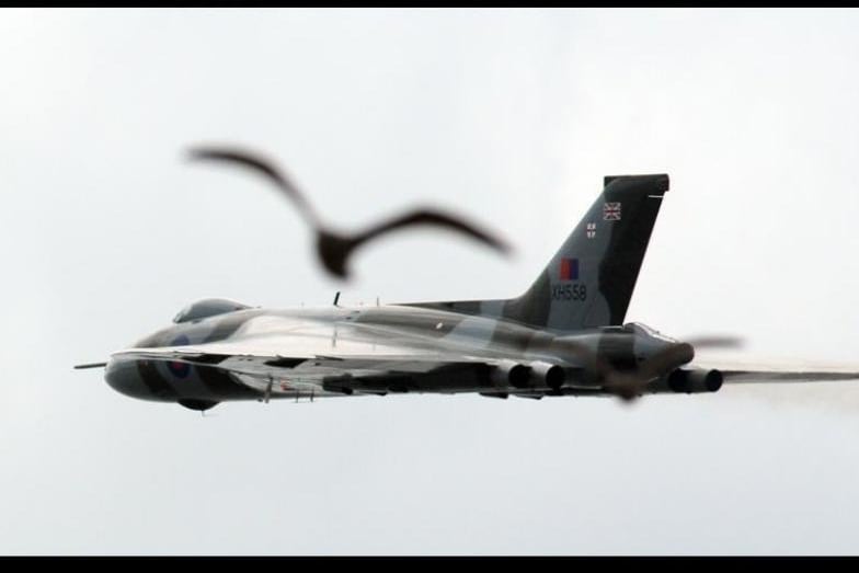 Those pesky seagulls again, this time getting in on the act with the mighty Vulcan