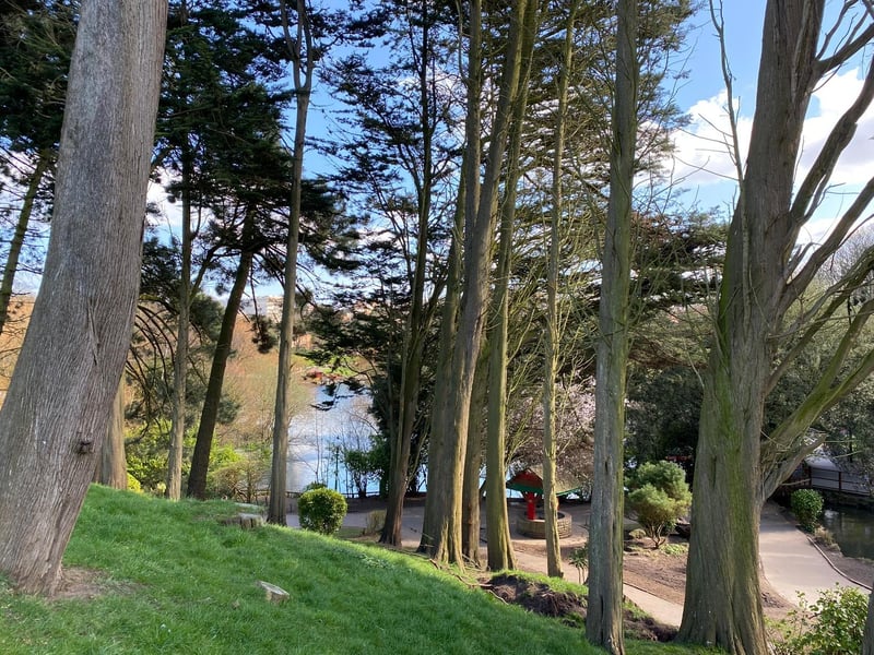 A view over the lake taken from a similar viewpoint today is very different as many mature trees have now established themselves in the park.