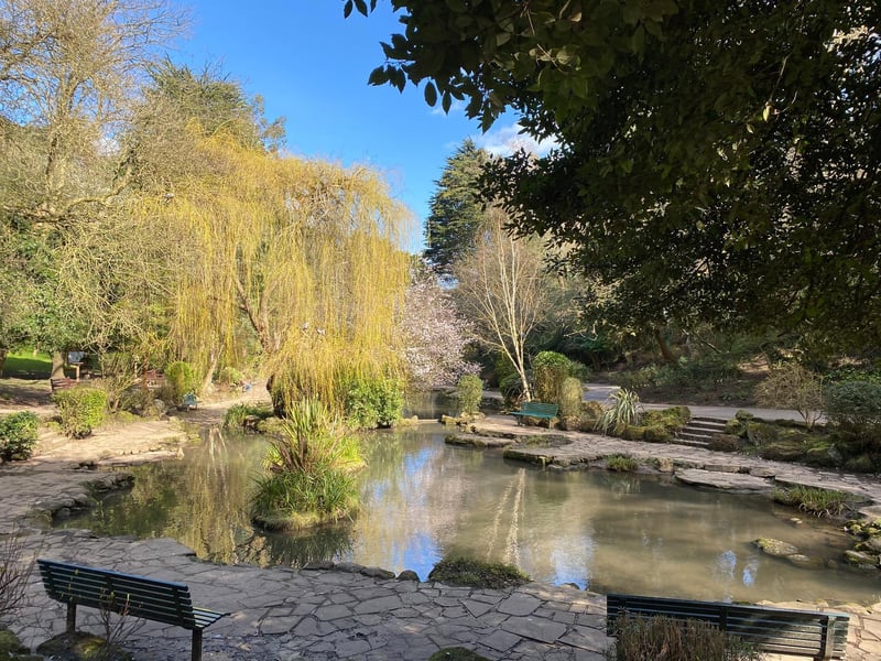 The same pools today look very different with plenty more trees surrounding them.