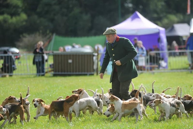 Lancashire' Game and Country Festival Attractions will include hound and gundog displays, clay pigeon shooting, ferret and terrier racing and fishing. Sat 11 and Sun 12 September 2021