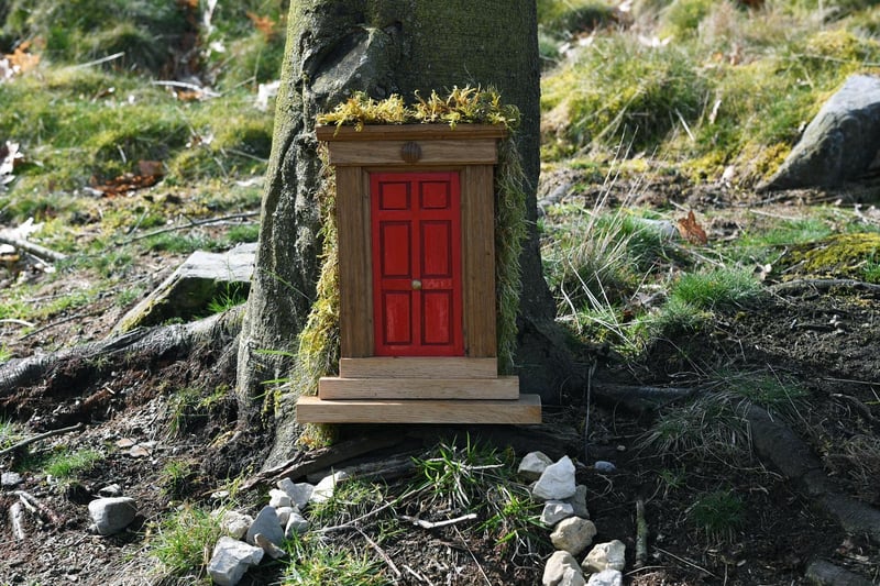 Local artist Sophie Roberts has crafted magical fairy doors and windows for the trees at The Hutts Himalayan Gardens, Grewelthorpe, ahead of its reopening