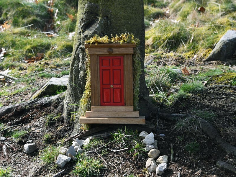 Local artist Sophie Roberts has crafted magical fairy doors and windows for the trees at The Hutts Himalayan Gardens, Grewelthorpe, ahead of its reopening