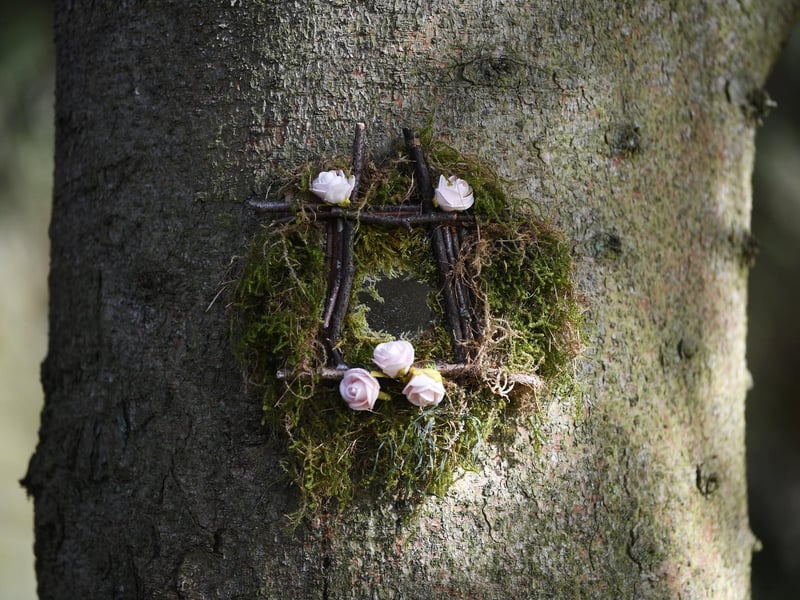 Local artist Sophie Roberts has crafted magical fairy doors and windows for the trees at The Hutts Himalayan Gardens, Grewelthorpe, ahead of its reopening