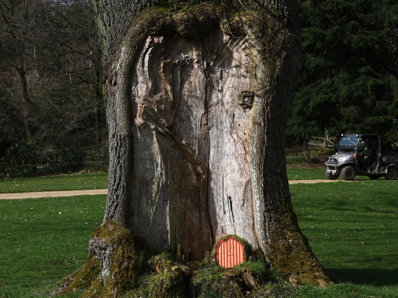 The Hutts Himalayan Gardens, Grewelthorpe, is to reopen to the public on Good Friday, April 2