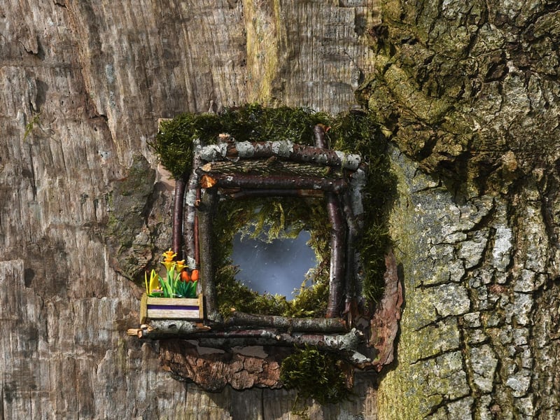 The tiny resident living inside this tree at The Hutts has decorated it with spring flowers as the garden welcomes back visitors