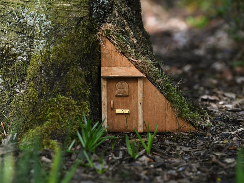 Local artist Sophie Roberts has crafted magical fairy doors and windows for the trees at The Hutts Himalayan Gardens, Grewelthorpe, ahead of its reopening